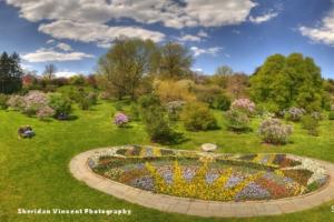 Highland Park in Rochester, NY by Sheridan Vincent Photography