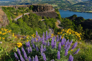 columbia river scenic byway oregon
