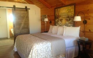 Handicap Accessible Cabin