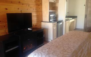 Handicap Accessible Cabin