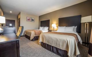 Queen Suite
