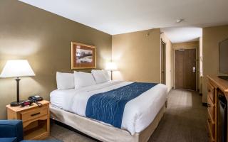 Suites