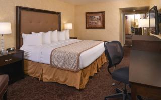 Spacious King Room