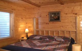 The Cabins Bear River One Bed 2