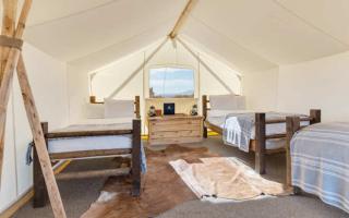 Safari with 3 Twin Beds