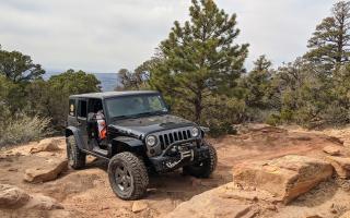 Jeeps