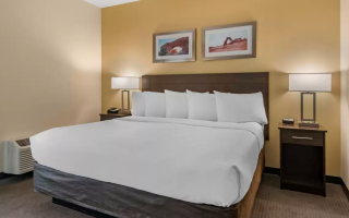 1 King Bed, 1 Room Suite, Kitchen