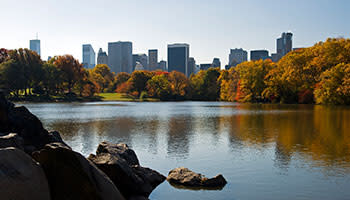 Central Park Lake View of the city 