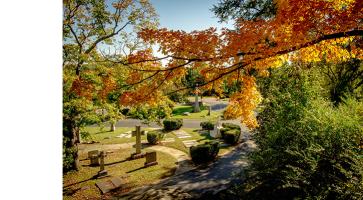 Hollywood Cemetery bump