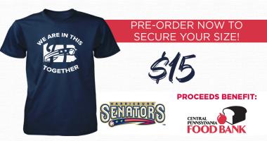 Harrisburg Senators In This Together Shirt