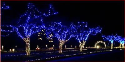 Fantasy Lights in Spanaway