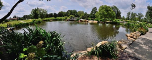 cox arboretum