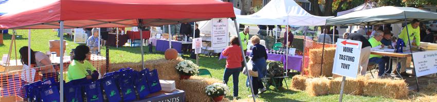 Vendor tents setup at the Naples Grape Festival
