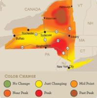 foliagemap102908.jpg