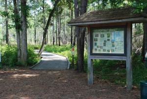 Flytrap Trailhead at Carolina Beach State Park