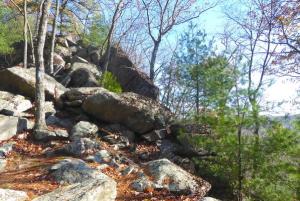 Little Rocky Ridge, Michaux