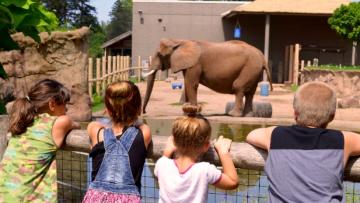 Elephant at Seneca Park Zoo