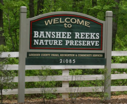 Banshee Reeks