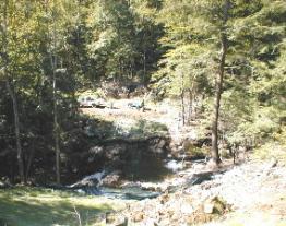 A view of Roaring Brook from the Pipeline Trail, where another bridge will be constructed on the new “Eagle’s Nest” trail.