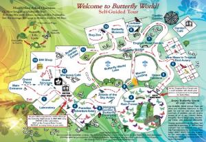 Butterfly World Map