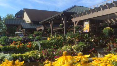 Vibrant plants at Frazee Gardens!