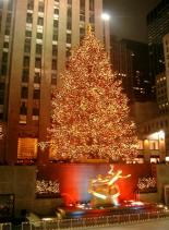 Rockefeller Center Christmas Tree