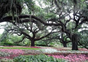 Brookgreen