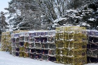 Crab traps in the snow