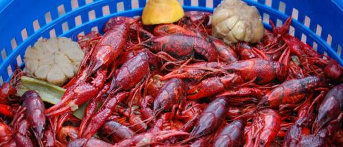 Fresh, Boiled Crawfish