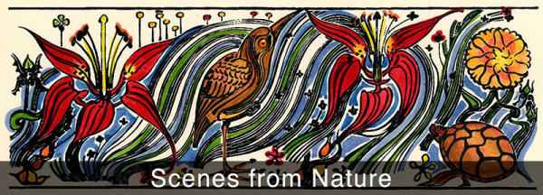 Realizations - Scenes from Nature