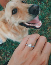 Photo of engagement ring next to a dog