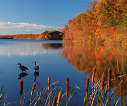 Burke Lake