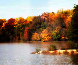 Lake Accotink