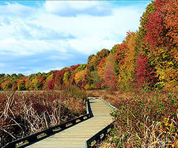 Huntley Meadows