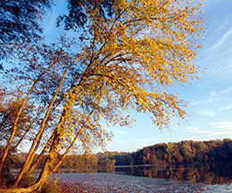 Riverbend Park