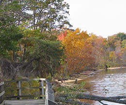 Mason Neck State Park