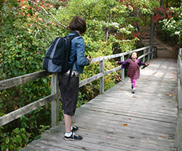 Mason Neck Hiking Mason Neck State Park: Outdoors