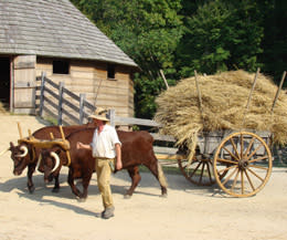 Mount Vernon - Animals Mount Vernon: Meet the animals