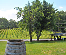 Paradise Springs Winery: Founding