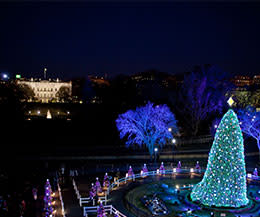 National Christmas Tree The National Christmas Tree