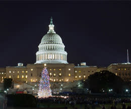 Capitol Christmas Tree Capitol Christmas Tree