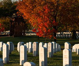 Arlington Cemetery Fall