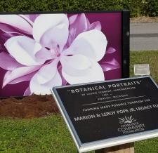 Botanical Portrait at Peace River Botanical & Sculpture Gardens