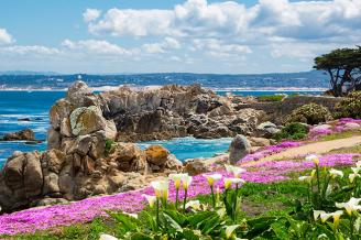 Monterey County Deals, Coupons & Packages | Local Offers