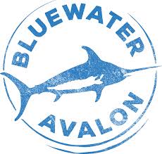 bluewater Avalon log