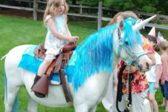Jozee Rooz Unicorn Rides