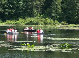 Laurel Lake