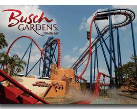 SheiKra, of Busch Gardens Tampa, opened in 2005 and was the first vertical "dive machine" roller coaster in the United States. SheiKra, of Busch Gardens Tampa, opened in 2005 and was the first vertical "dive machine" roller coaster in the United States.