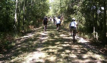 Join in a Bike Ride Benefit during the St. Malachy Country Fair and take in some beautiful scenery. Vandalia Trail.jpeg