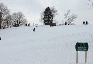 The Hummel Park hill in Plainfield can handle a lot of sledders at once.
